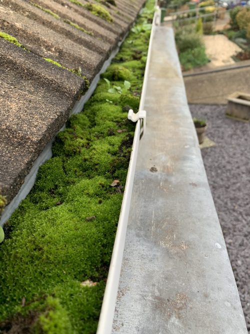 gutter before cleaning
