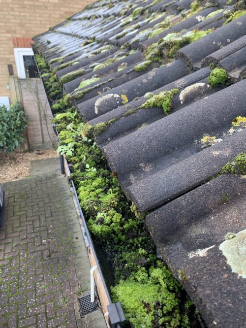 blocked gutters before cleaning