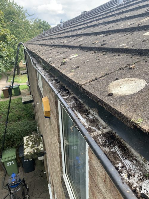after professional gutter cleaning