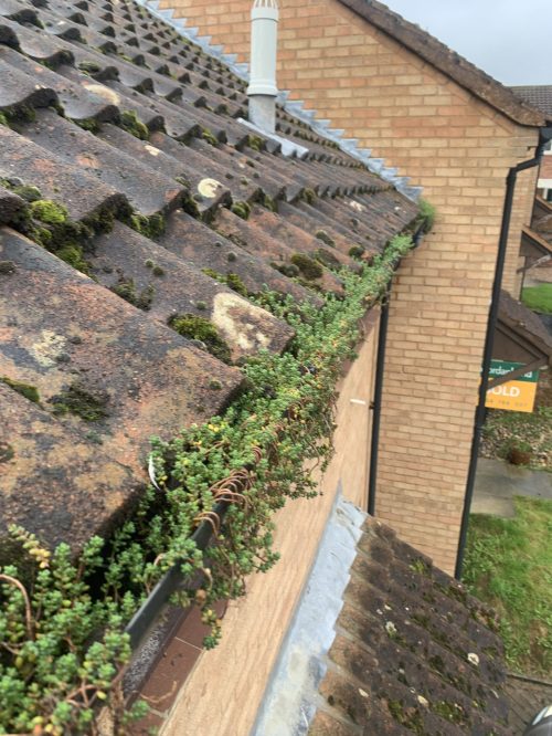 blocked gutters before cleaning