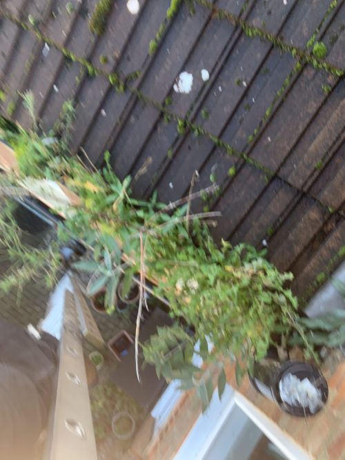 blocked gutters before cleaning