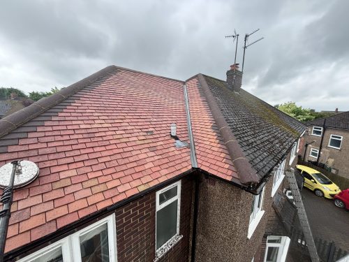 after roof cleaning