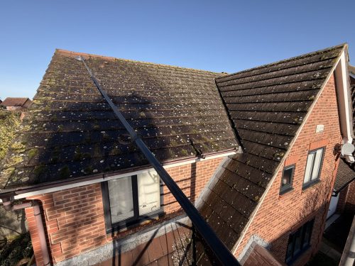 moss covered roof before professional cleaning