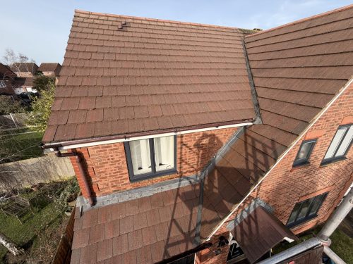 Clean roof after professional cleaning