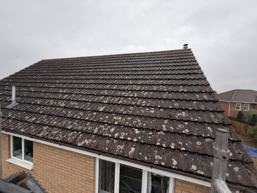 roof after cleaning