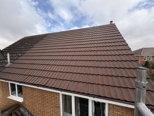 Roof after cleaning